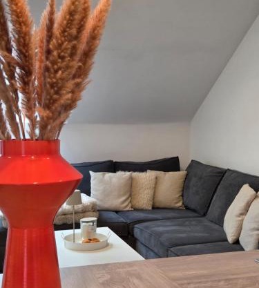 Gîte 4 personnes avec vue proche de Durbuy - La Roche en Ardennes - Han sur Lesse - Terrasses - Parking gratuit - Grand jardin