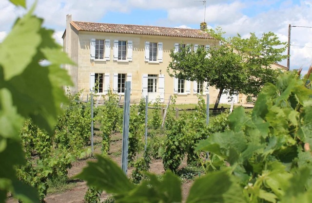 Gîte Carboneyre - Saint-emilion