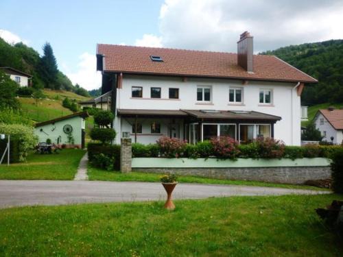 Gîte confortable à La Bresse, proche centre-ville, nature et activités - FR-1-589-97