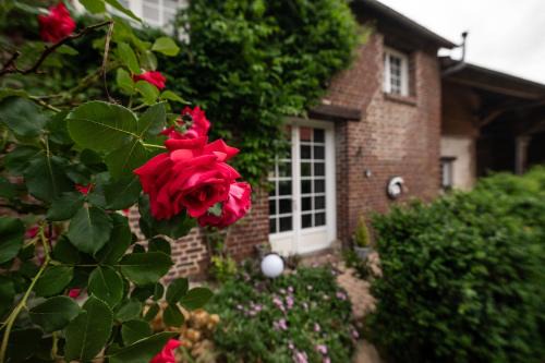 Gîte Cosy Green