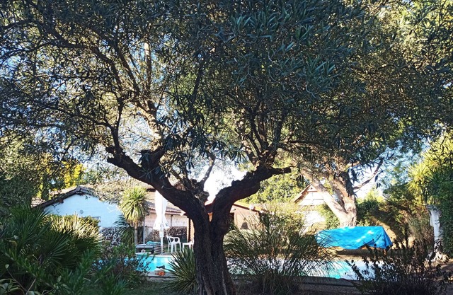 Gîte de Grande Capacité Avec Piscine et Parking