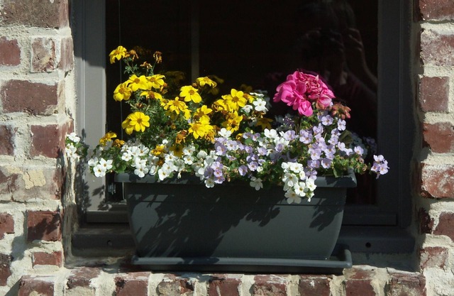Gîte de l'Antre'pot near Dieppe for 2 to 3 people