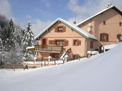 Gîte familial avec piscine, idéal pour randonnées et pêche, proche Gérardmer et crêtes vosgiennes - FR-1-589-238