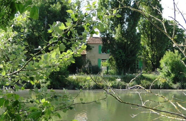 Gîte marais poitevin bord de Sèvre