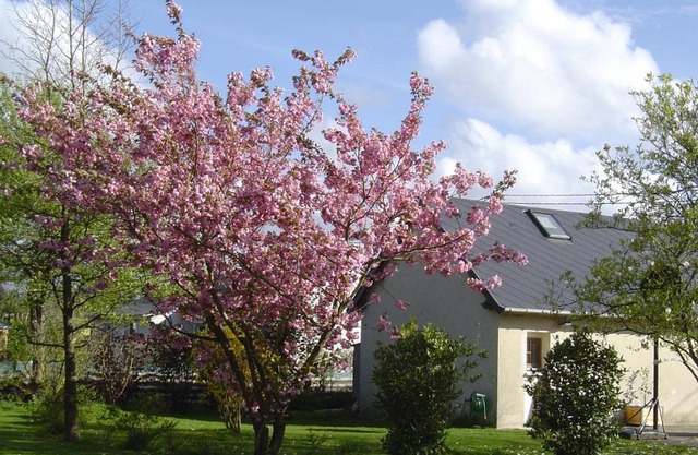 Gîte Paul et Rosalia