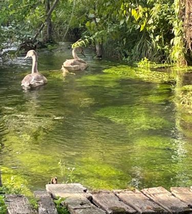 Gîte pieds dans l Epte prêt de Giverny