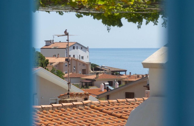 Gabbiani - Cala Gonone