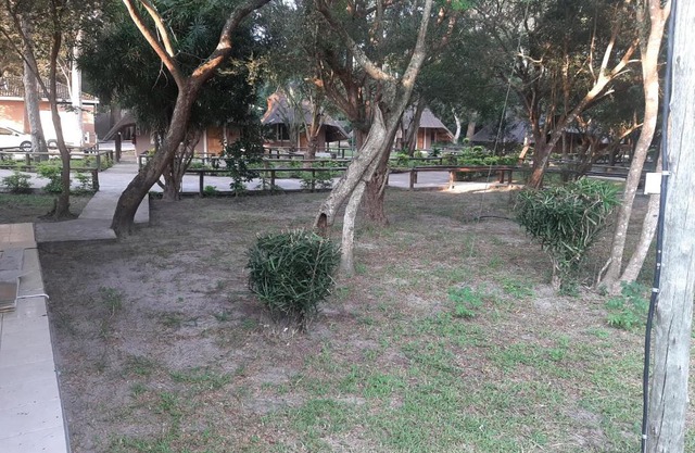 Galaxy Forest Lodge