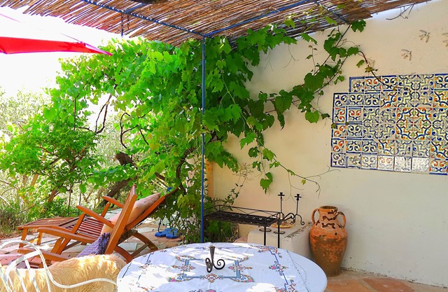 Garden level in an artist's house