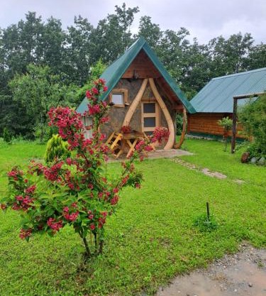 Gazela Bungalov 1