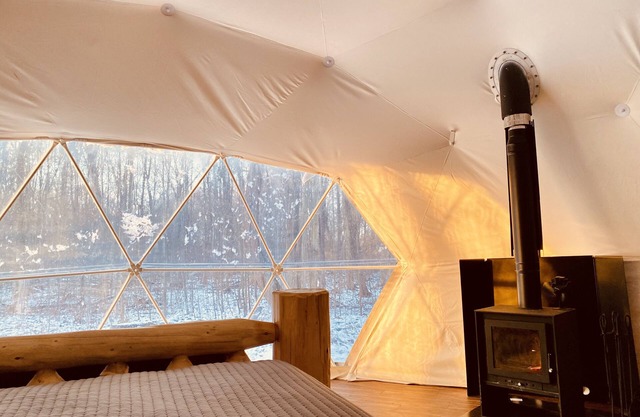 Geodome Nestled in a Carolinian Forest