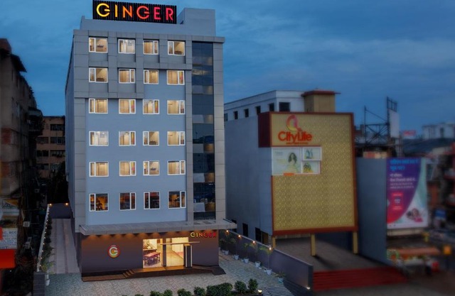 Ginger Patna