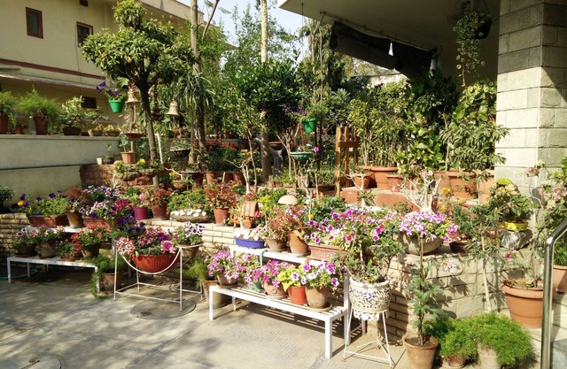 Girisadan Homestay