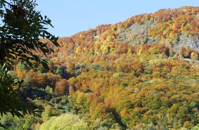 Gite Brezons, 4 bedrooms, 8 persons