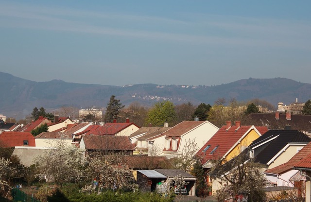 GITE COLMAR The OBERHARTH 2-4 PERSONS SITUATED IN PEACE