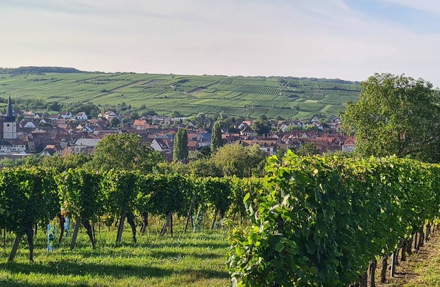 Gite des rossignols near Obernai sleeps 4 with large terrace.
