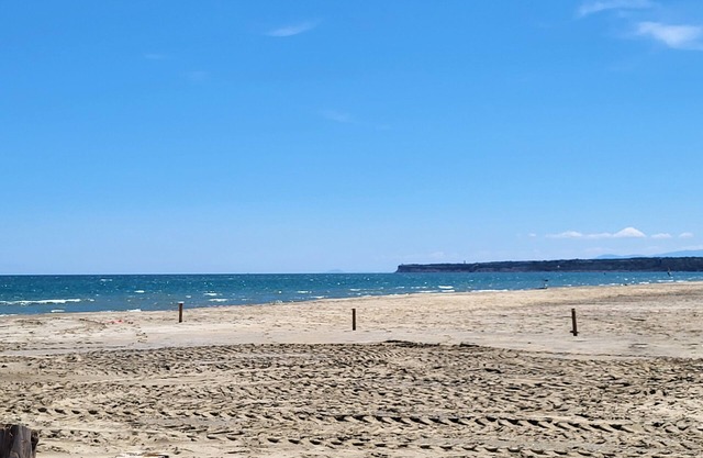 Gite du Citronnier : Séjour Agréable Dans un Village Près de Plages Sauvages