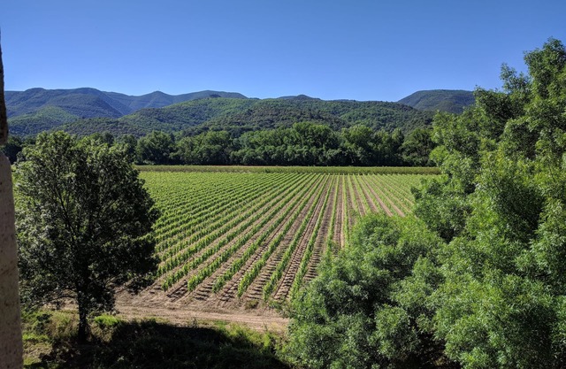 Gite for 3 people Lamalou-les-Bains
