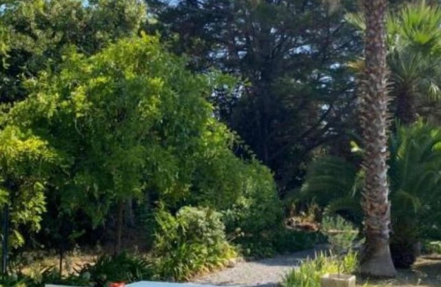 Gite Yucca
