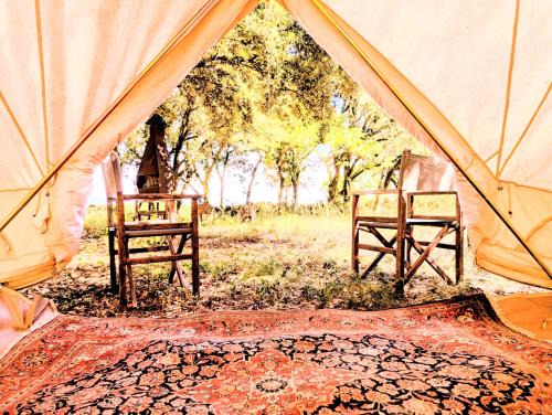 Glamping Grignan 5 personnes vue exceptionnelle