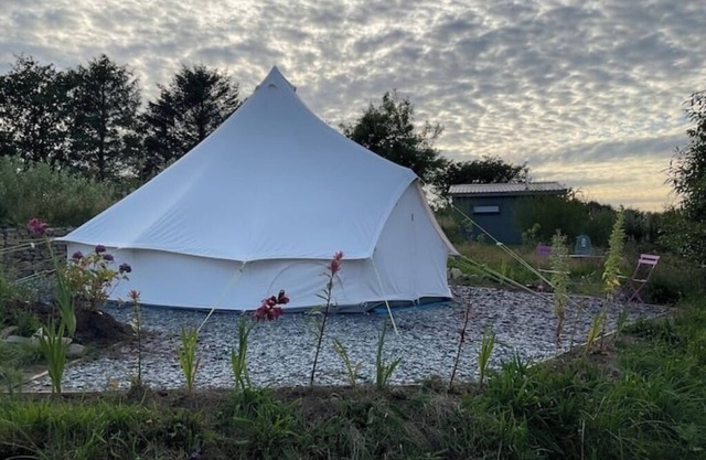 Glamping Meadow Bell Tentn