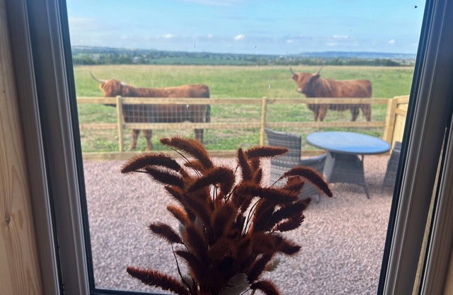 Glamping Pod in secluded location with Highland Cows at the fence