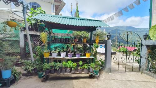 Goo Sheela Homestay