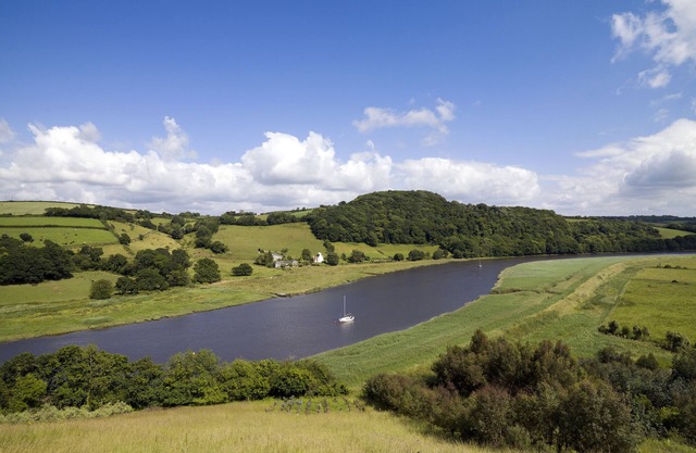 Gorgeous, family friendly riverside cottage in the heart of Tamar River Valley