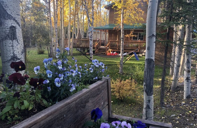 Gorgeous House in Healy, with HOT TUB