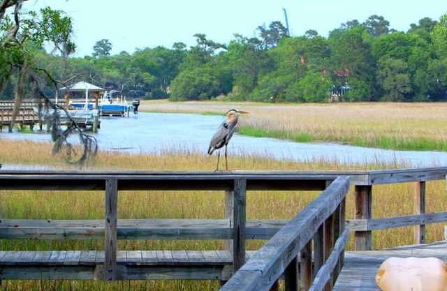 Gorgeous Waterfront | Dock-Kayaks | Every Amenity