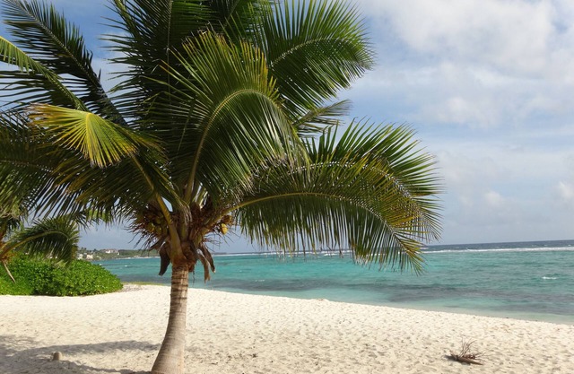 Grand Cayman - Luxury 2 bedroom & 2 bathroom condo, wonderful sea view terrace