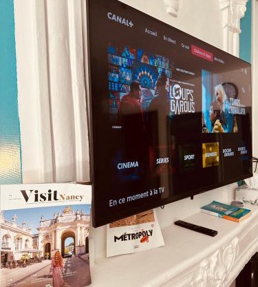 Grand T1 tout confort offre cinéma Netflix, canal série, apple TV, OCS, paramount