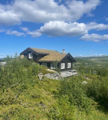 Great cabin with gorgeous mountain views