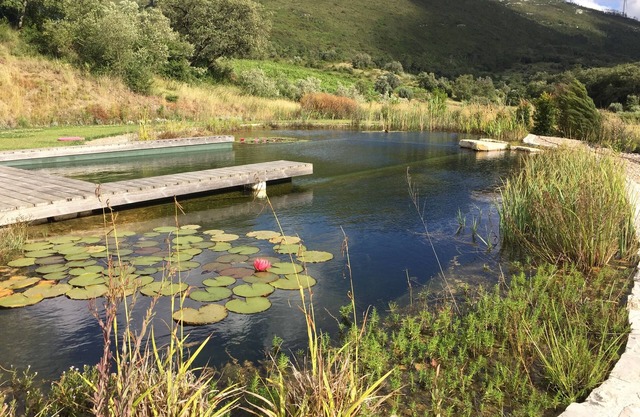 Great Villa with Gorgeous Eco Swimming Pool in Reguengo do Fetal, Batalha