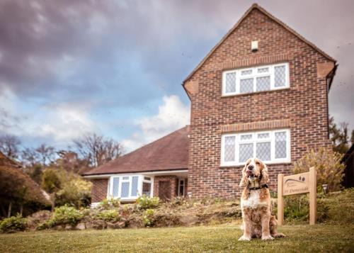 Green Pastures cottage in South Downs