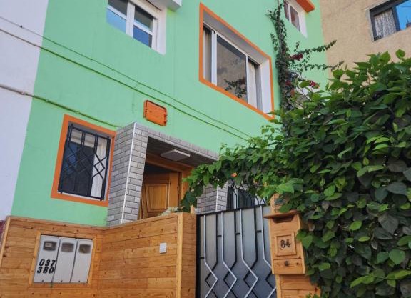 Green Surf House