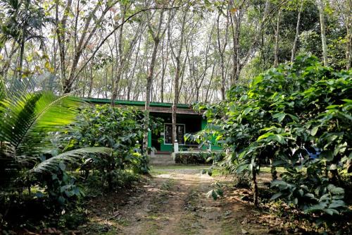 Green Wayanad Homestay