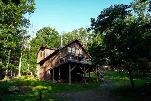Grill Fire Pit WiFi Deck Hammock Games & Dogs