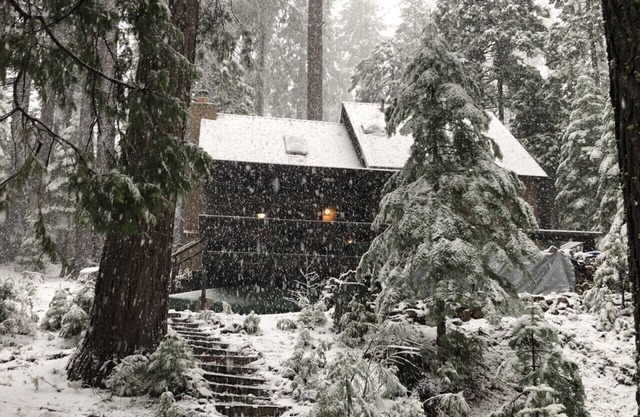 Grizzly Bear Lodge - just fully remodeled!