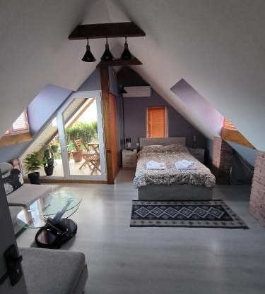 guest house Calma