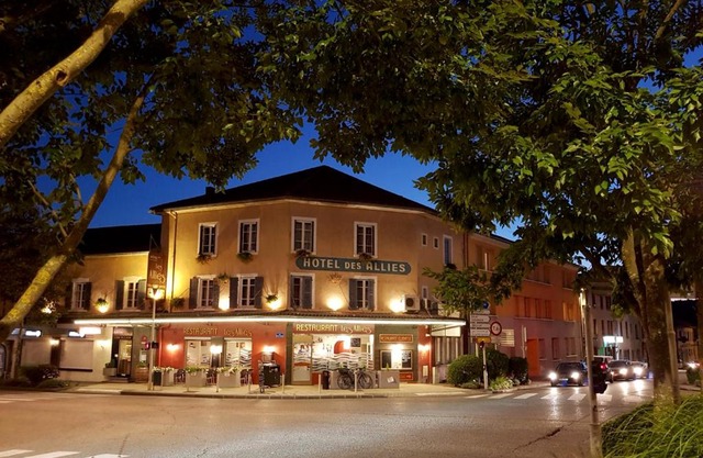 Hôtel Des Alliés