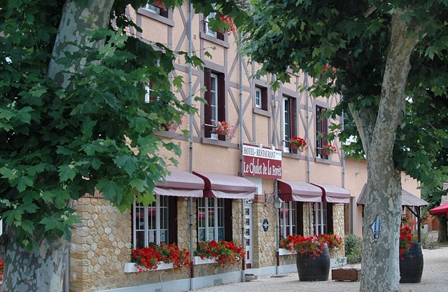 Hôtel Le Chalet de la Forêt