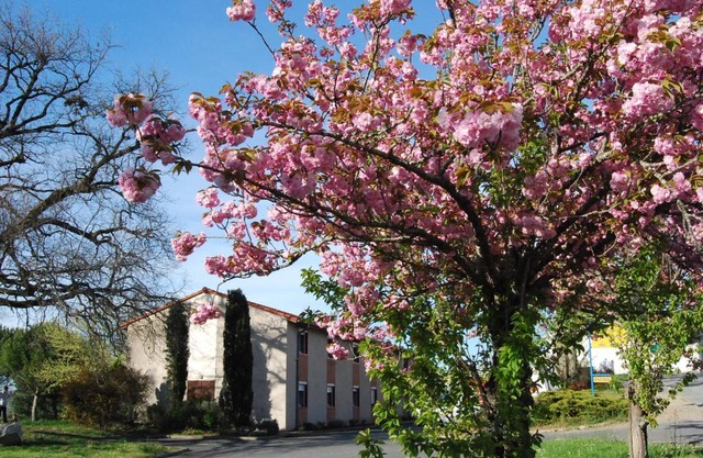 Hôtel Restaurant du Lac