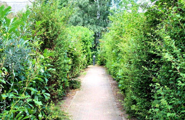 Höfthus 11