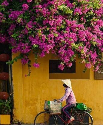 Hội An Spirit Homestay