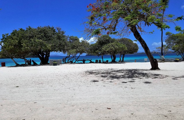 "H2Oh What A Beach!" 1st Fl. Beachfront Condo: Walk-out Beach Access!