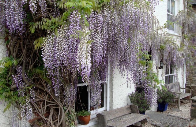 Half Moon House