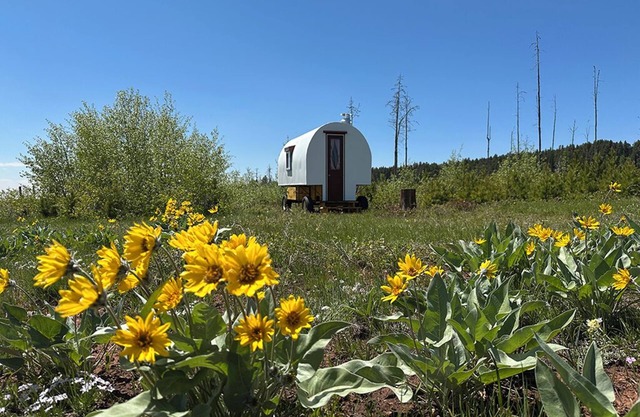 Hand-Crafted Sheep Wagon ~ Luxuriously Rustic ~ Private Meadow Site