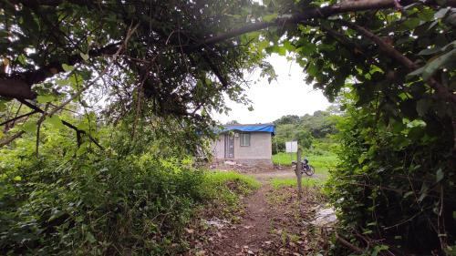Harry's farm house