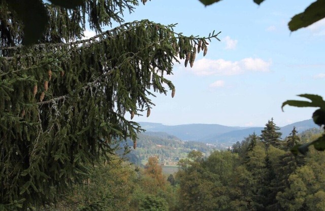 Haus Carola Comfortable holiday residence